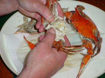Peeling Crabs